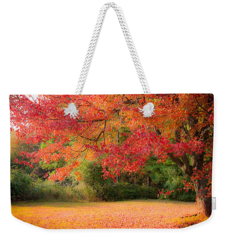 Rhode Island Fall Foliage Weekender Tote Bag featuring the photograph Maple In Red And Orange by Jeff Folger