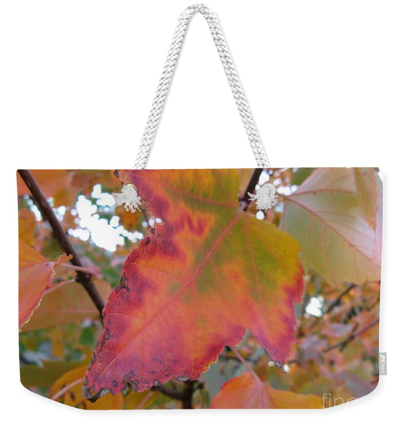 Maple Leaf Weekender Tote Bag featuring the photograph Maple Leaf Autumn by Mars Besso