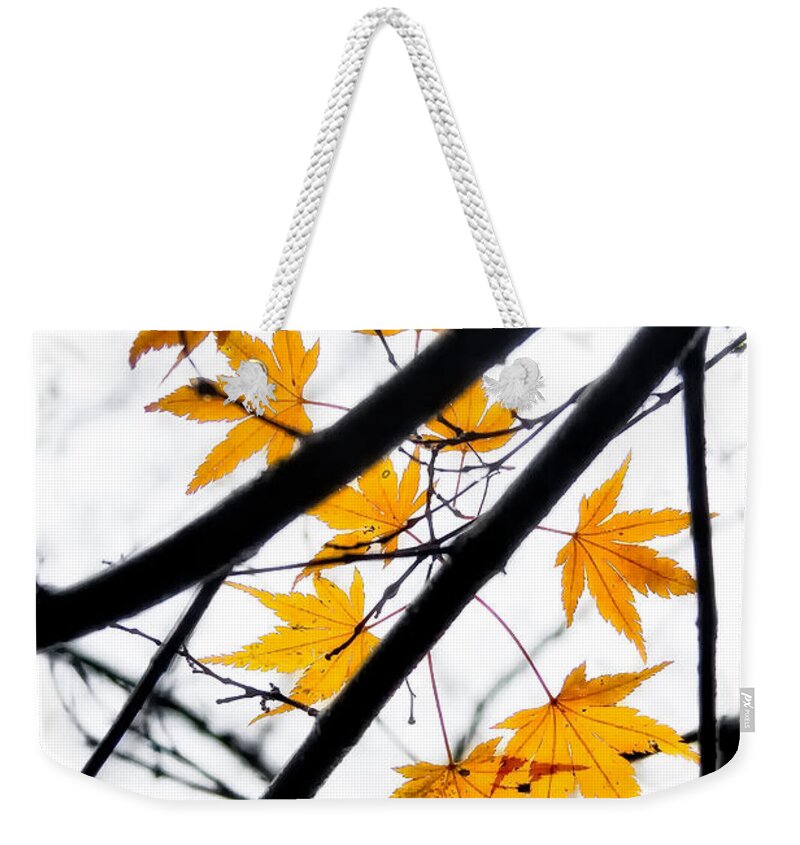Fall Weekender Tote Bag featuring the photograph Maple Leaves by Jonathan Nguyen