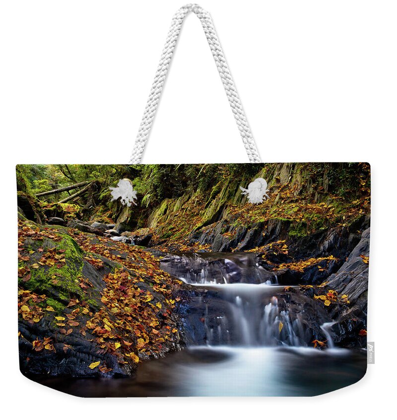 Taiwan Weekender Tote Bag featuring the photograph Maple Valley by Higrace Photo