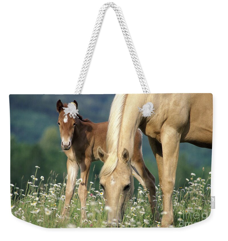 Horse Weekender Tote Bag featuring the photograph Mare And Foal In Meadow by Rolf Kopfle