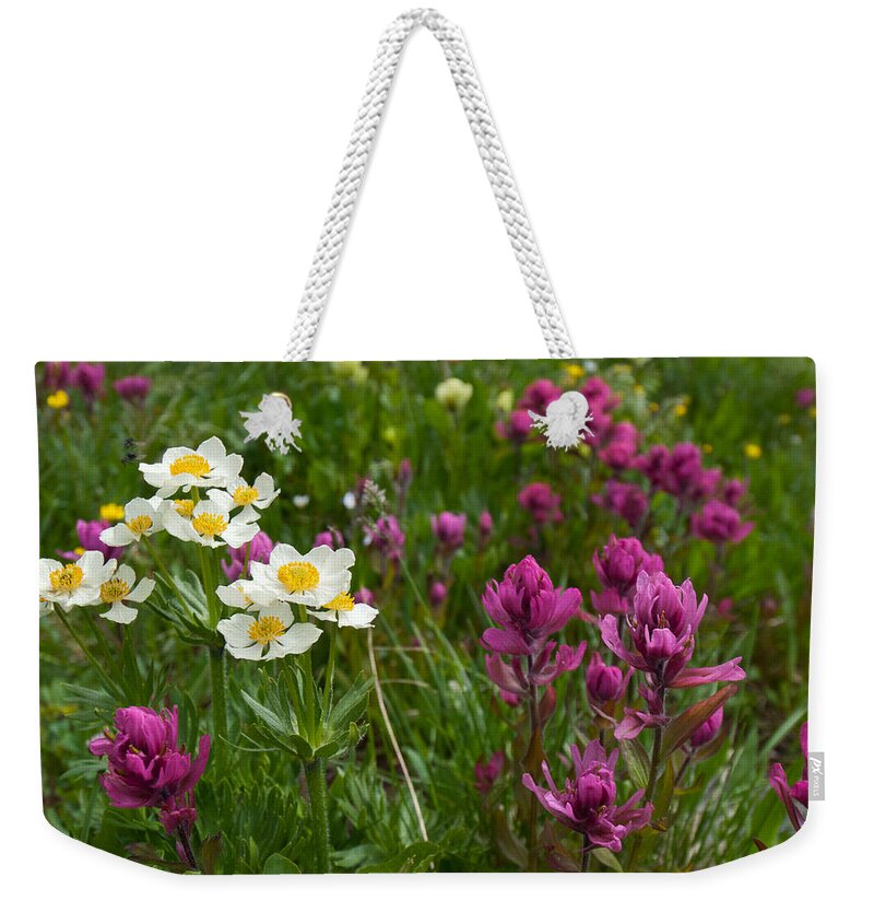 Narcissus Anemone Weekender Tote Bag featuring the photograph Narcissus Anemone and Rosy Paintbrush by Cascade Colors