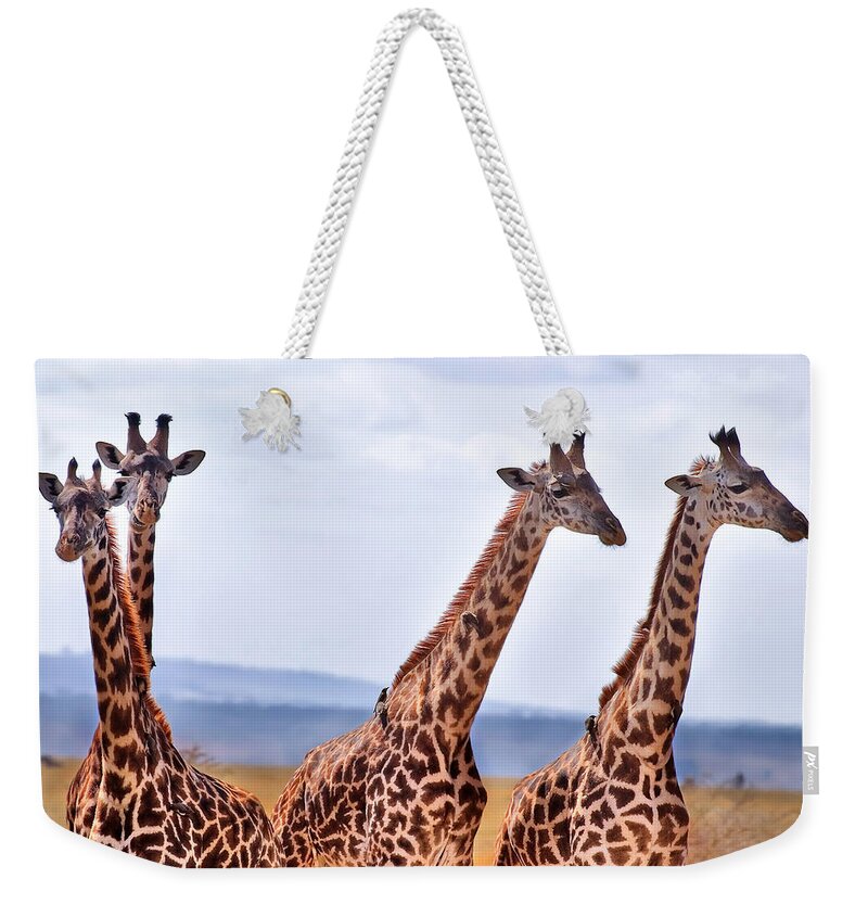 3scape Photos Weekender Tote Bag featuring the photograph Masai Giraffe by Adam Romanowicz