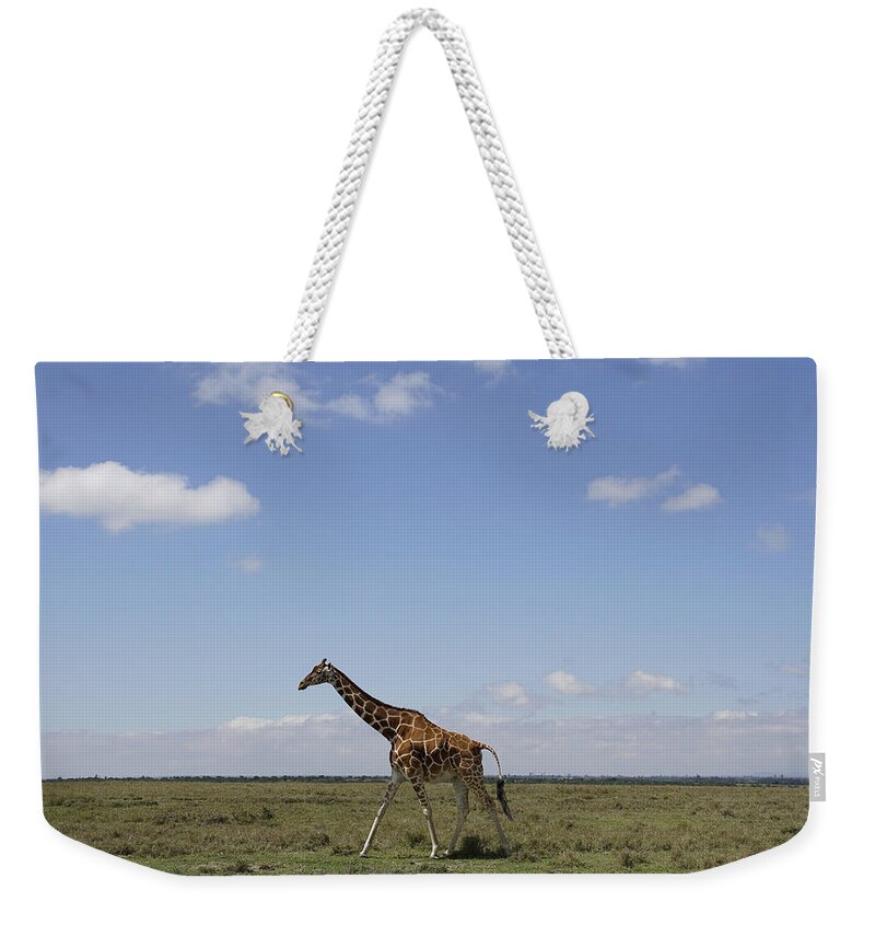 Hiroya Minakuchi Weekender Tote Bag featuring the photograph Masai Giraffe On Savanna Masai Mara by Hiroya Minakuchi