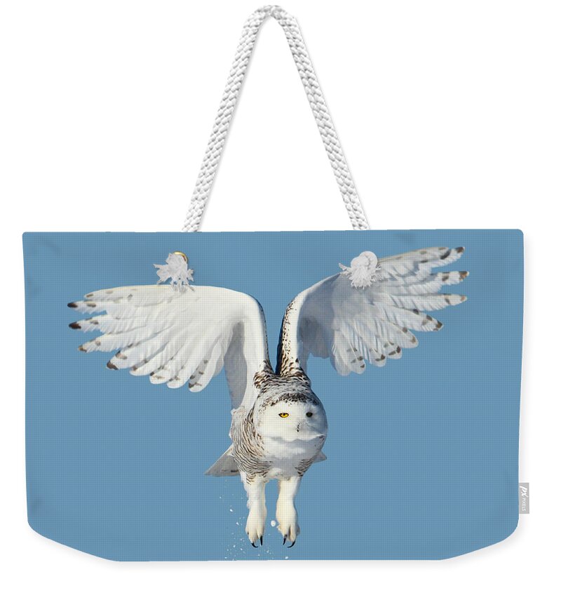 Snowy Owls Weekender Tote Bag featuring the photograph Maximum lift by Heather King