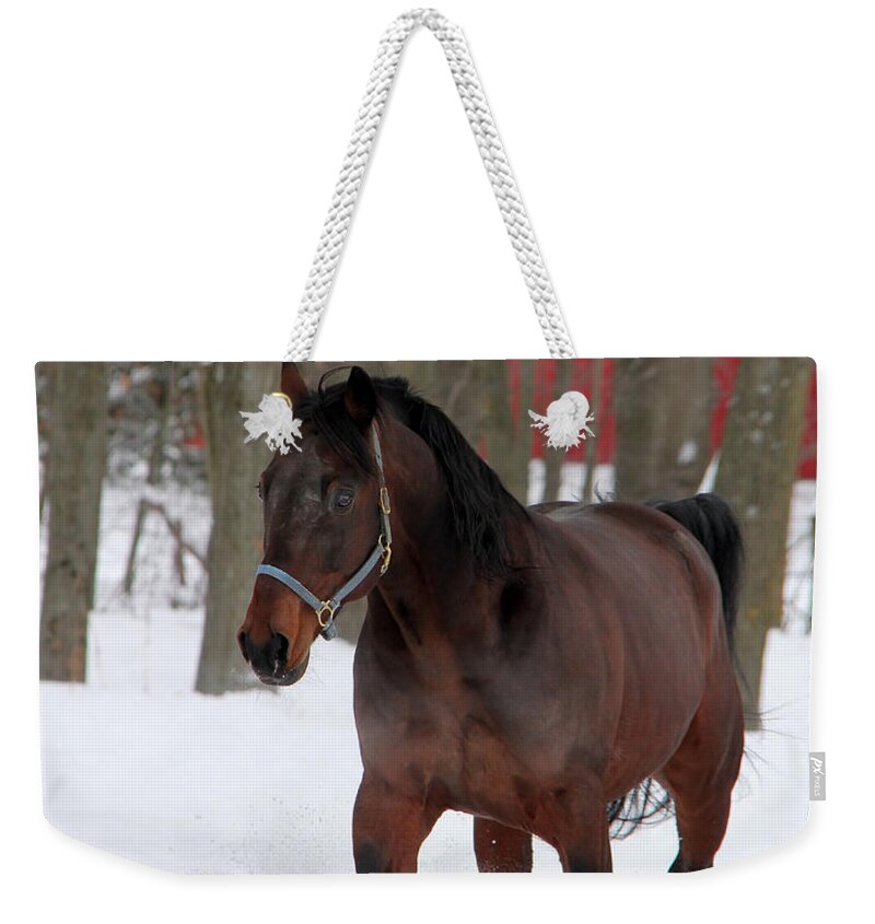 Animal Weekender Tote Bag featuring the photograph Maxwell's Gold by Davandra Cribbie