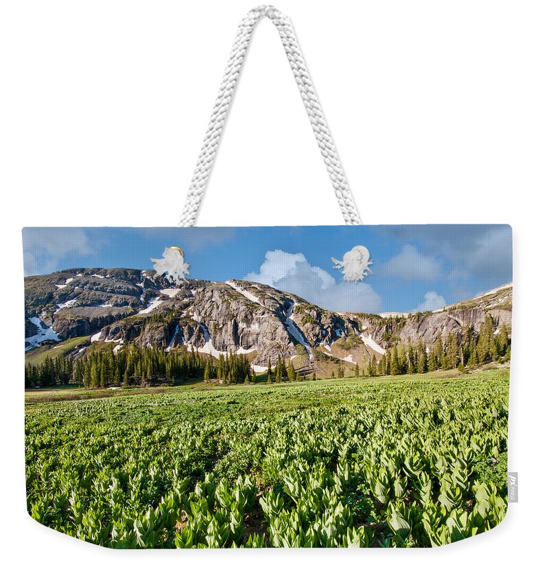 Beauty In Nature Weekender Tote Bag featuring the photograph Meadow of False Hellebore at Ice Lakes Basin by Jeff Goulden