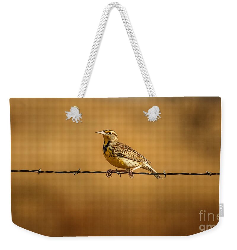 Wildlife Weekender Tote Bag featuring the photograph Meadowlark And Barbed Wire by Robert Frederick