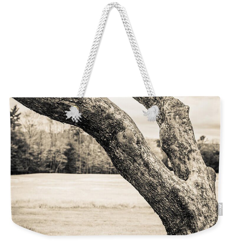 Cornish Weekender Tote Bag featuring the photograph Meet me under the old apple tree by Edward Fielding