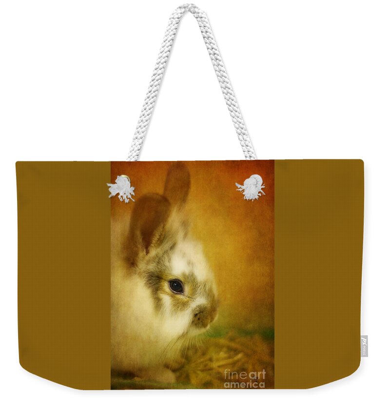 Rabbit Weekender Tote Bag featuring the photograph Memories of Watership Down by Lois Bryan