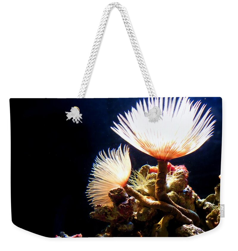 Mermaid's Playground Weekender Tote Bag featuring the photograph Mermaid's Playground by Micki Findlay