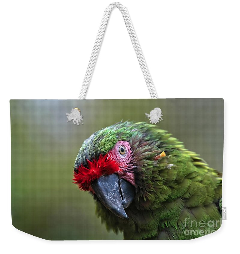 Macaw Weekender Tote Bag featuring the photograph Military Macaw by Al Andersen