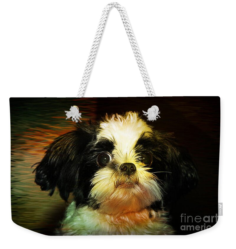 Dog Weekender Tote Bag featuring the photograph Milo 2 by Teresa Zieba