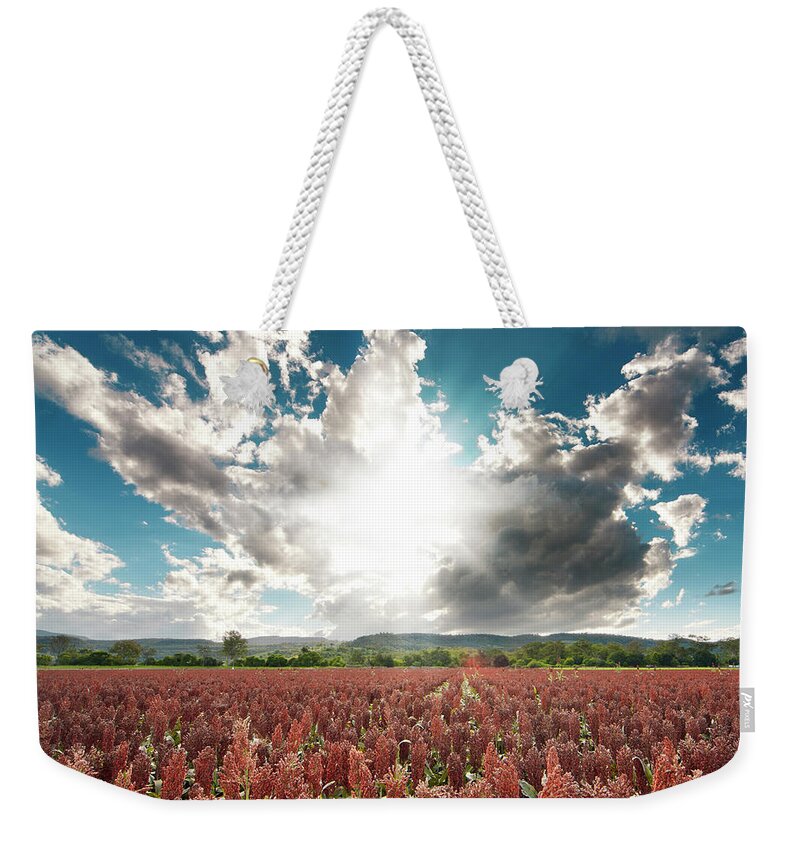 Scenics Weekender Tote Bag featuring the photograph Milo Field by Quirex