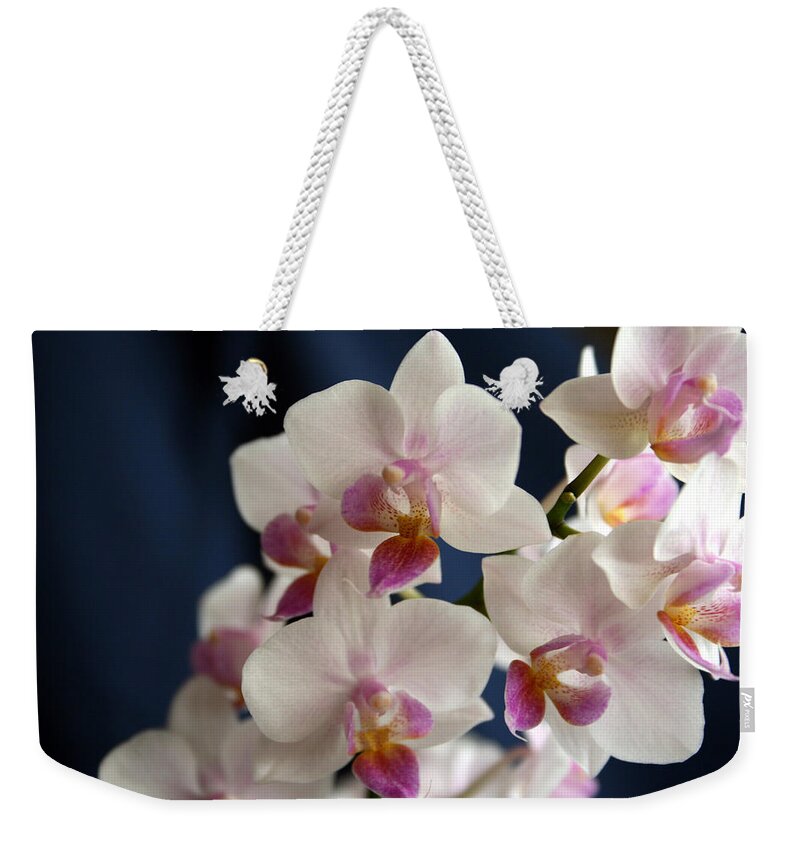 Mini Phalaenopsis Weekender Tote Bag featuring the photograph Mini Orchids 3 by Marna Edwards Flavell