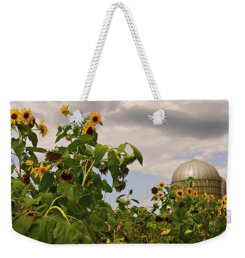 Sunflowers Weekender Tote Bag featuring the photograph Minot Farm by Alice Mainville
