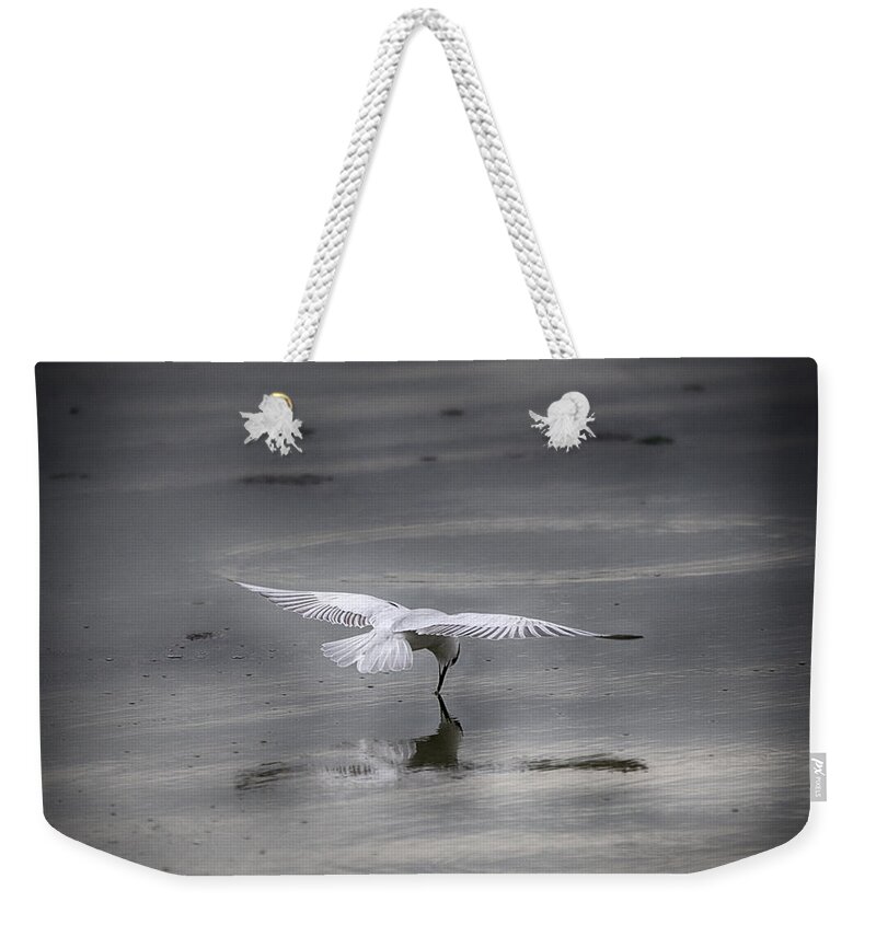Bird Weekender Tote Bag featuring the photograph Mirror-Mirror............ by Douglas Barnard