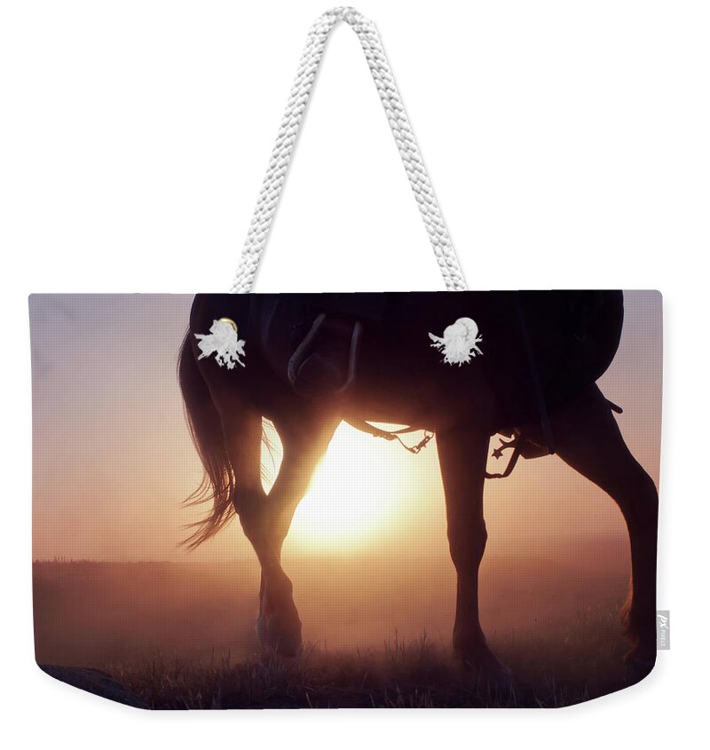 Horse Weekender Tote Bag featuring the photograph Mist by Eastview Photography