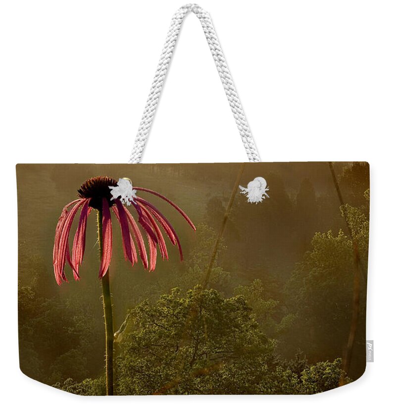 2010 Weekender Tote Bag featuring the photograph Mist on the Glade by Robert Charity