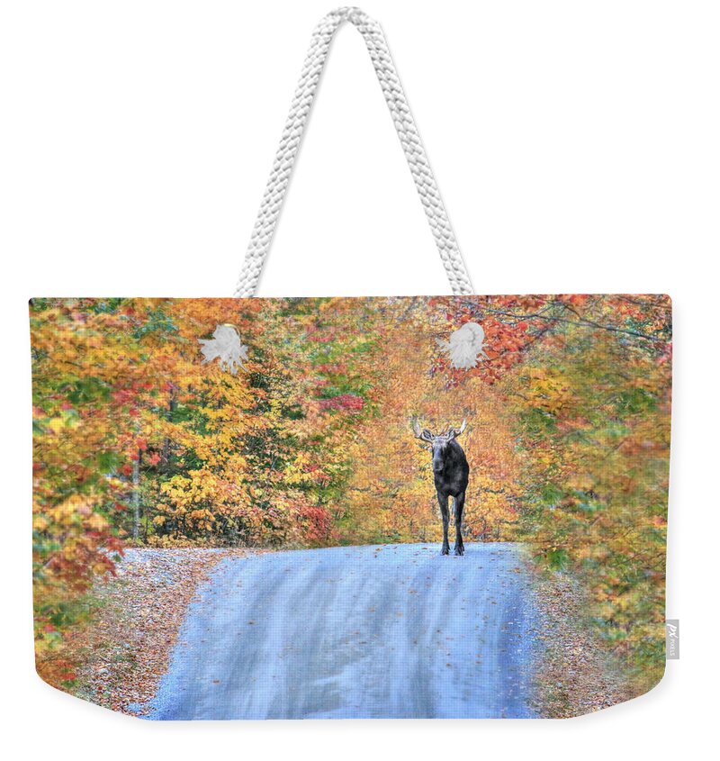 Sneffy Weekender Tote Bag featuring the photograph Moments That Take Our Breath Away - No Text by Shelley Neff