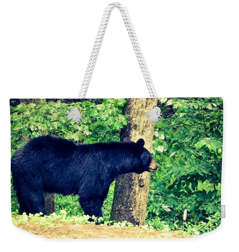 Black Bear Weekender Tote Bag featuring the photograph Momma Bear by Jan Dappen
