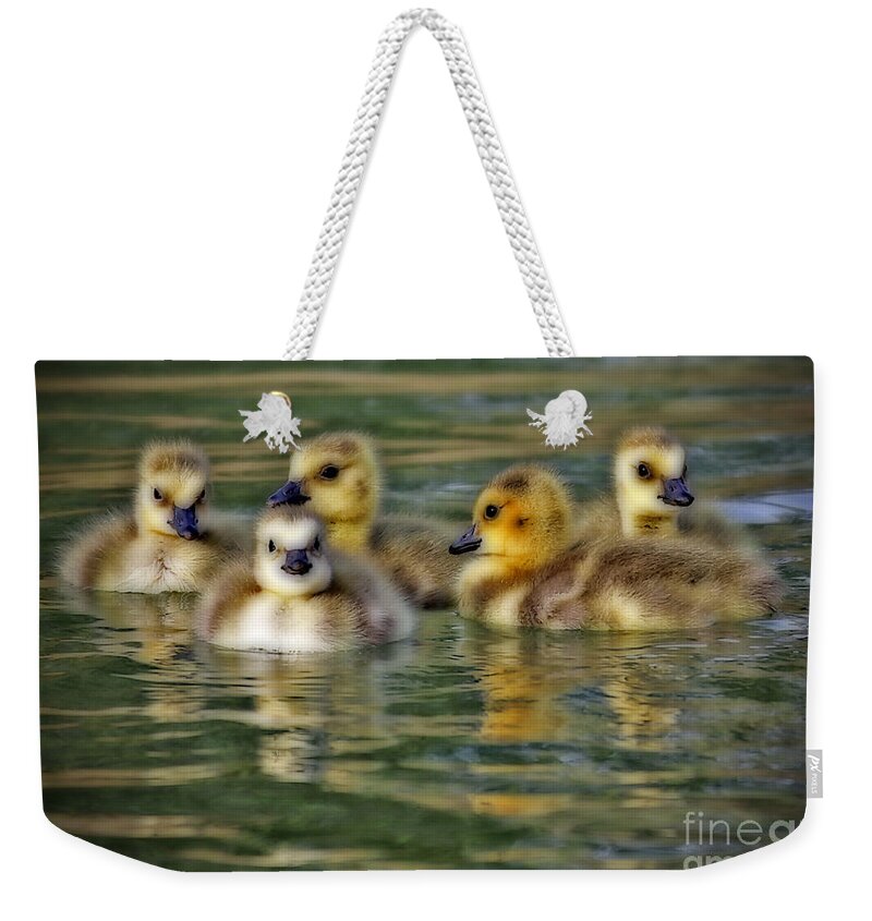Baby Ducks Weekender Tote Bag featuring the photograph Momma's Little Gooslings by Elizabeth Winter