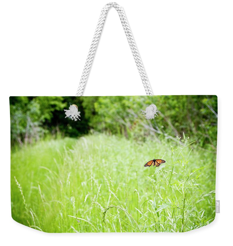 Animal Themes Weekender Tote Bag featuring the photograph Monarch Butterfly In Green Field by Thorpeland Photography