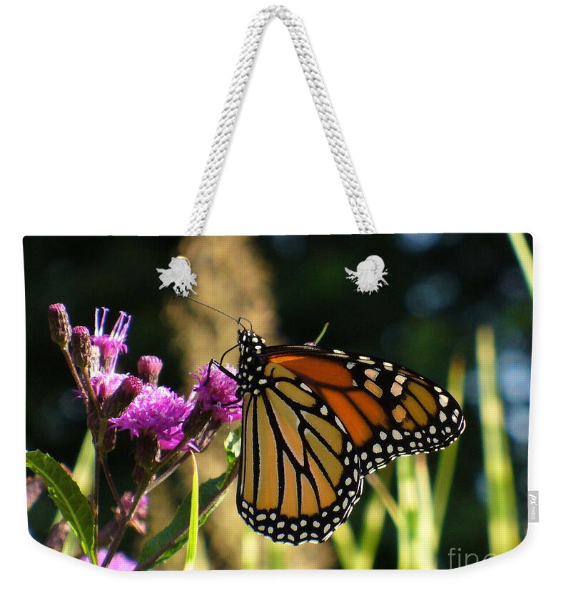 Garden Weekender Tote Bag featuring the photograph Monarch Butterfly by Lingfai Leung