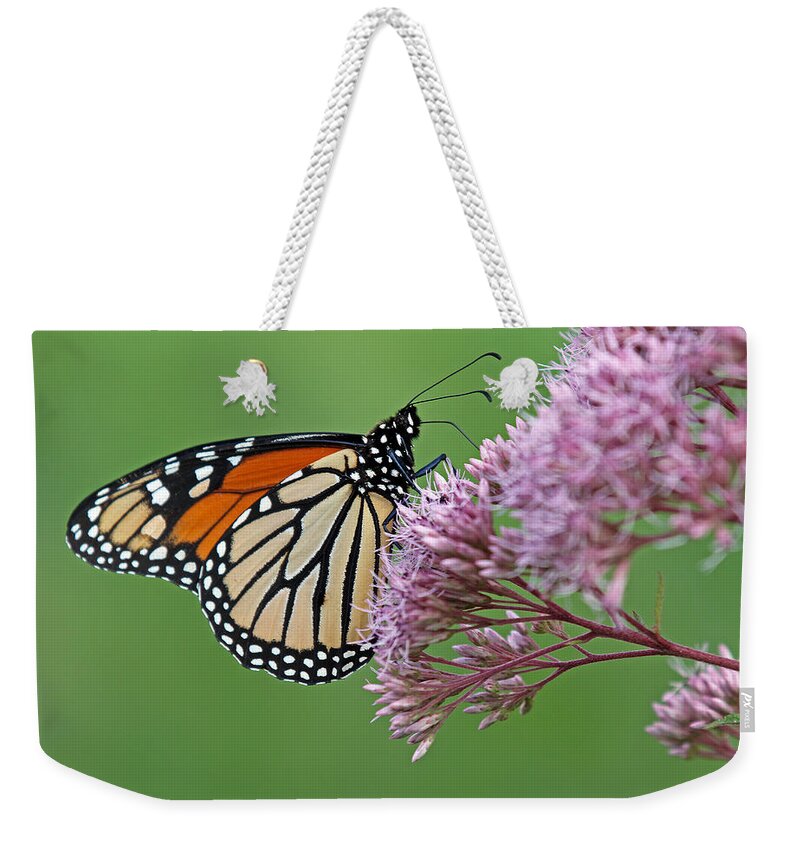 Monarch Weekender Tote Bag featuring the photograph Monarch Butterfly Photography by Juergen Roth