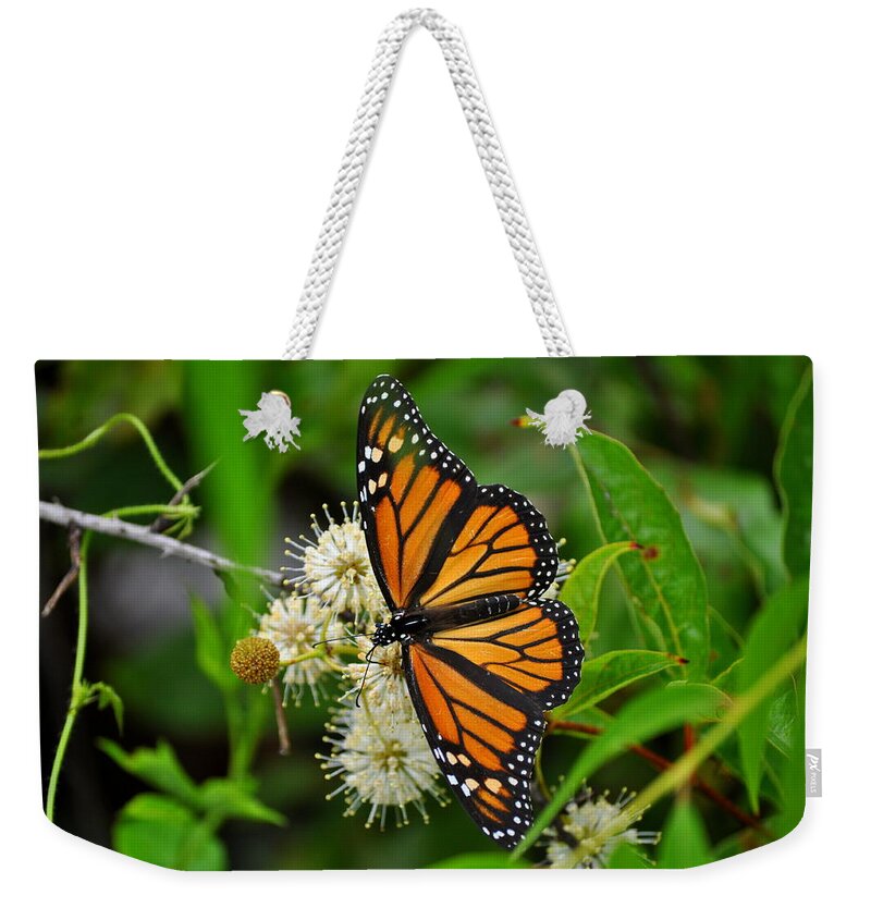 Monarch Butterfly Weekender Tote Bag featuring the photograph Monarch Butterfly by Stacy Abbott