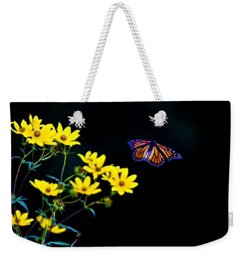 Background Weekender Tote Bag featuring the photograph Monarch Golden Light by Jack R Perry