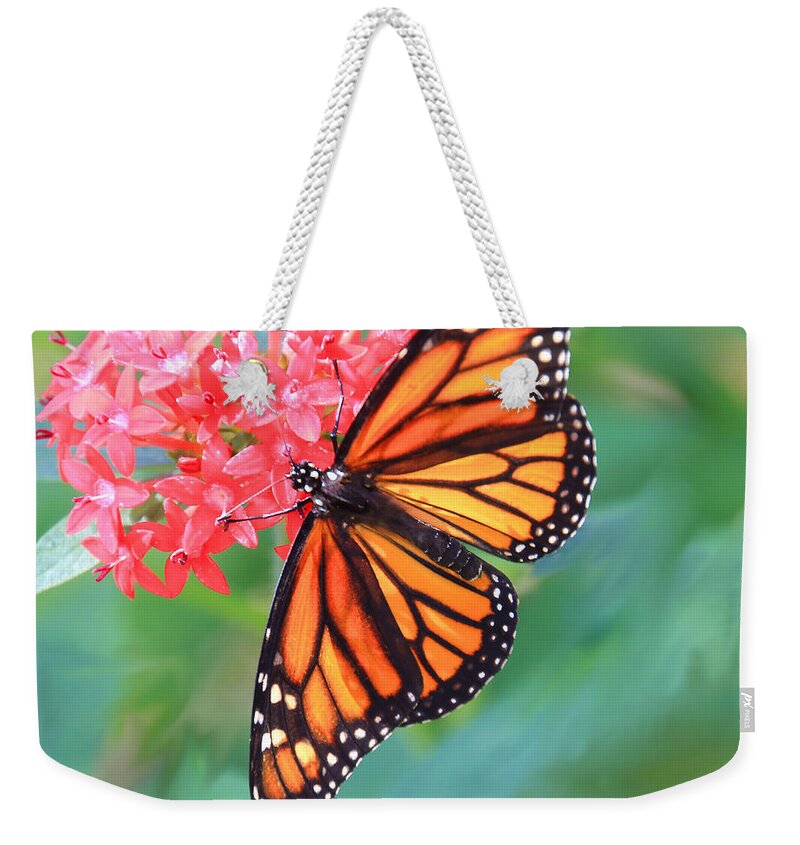 Butterfly Weekender Tote Bag featuring the photograph Monarch Macro by Rosalie Scanlon