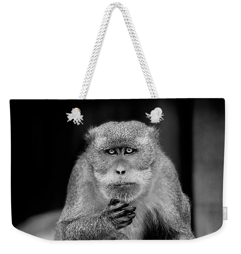 Animal Themes Weekender Tote Bag featuring the photograph Monkey B&w by Image Provided By Silvia Sanchez De Freitas