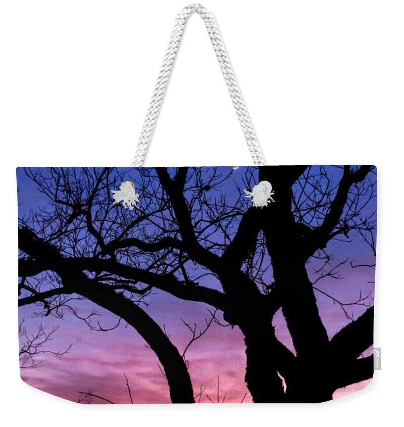 Moon Rise Weekender Tote Bag featuring the photograph Moon Rise by Lucy VanSwearingen