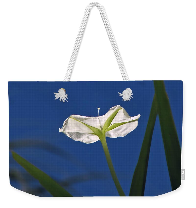 Moonflower Weekender Tote Bag featuring the photograph Moonflower by Peggy Urban