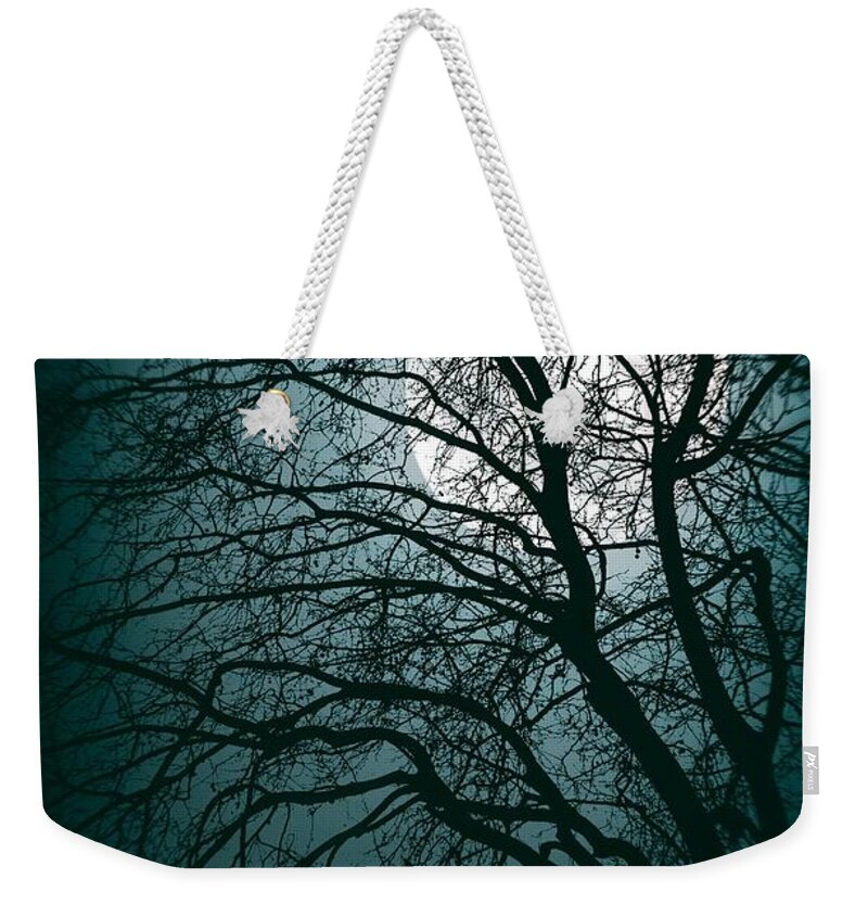 Woods Weekender Tote Bag featuring the photograph Moonlight Forest by Carlos Caetano