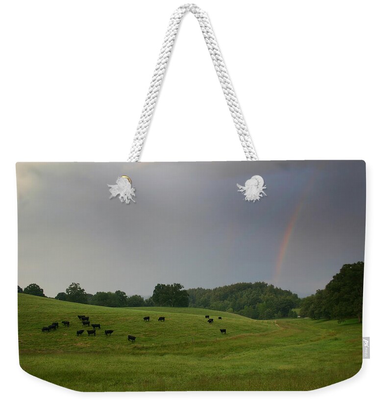 Biltmore Estate Weekender Tote Bag featuring the photograph Mooove Over for Rainbows by Ben Shields