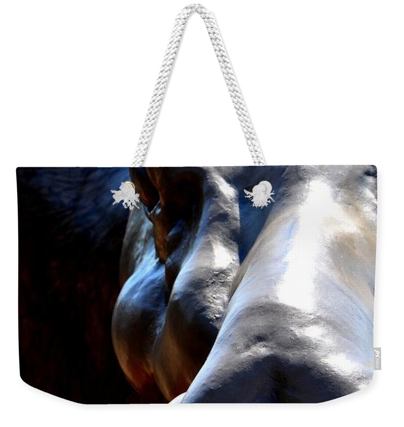 Newel Hunter Weekender Tote Bag featuring the photograph Moose Encounter by Newel Hunter
