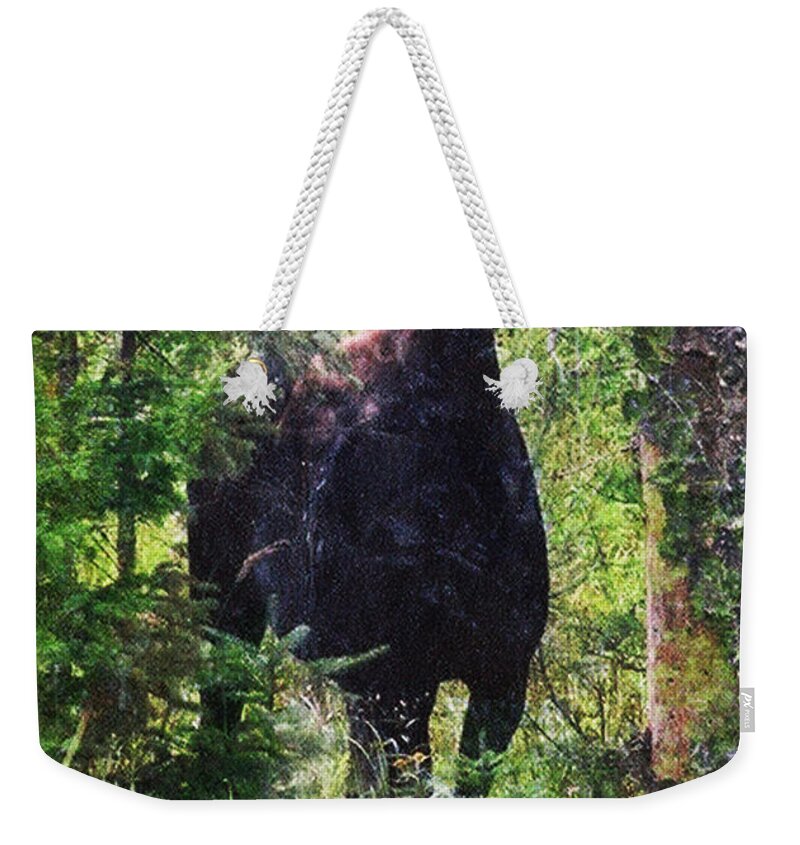 Moose Weekender Tote Bag featuring the photograph Moose Near the Androscoggin River by Marie Jamieson