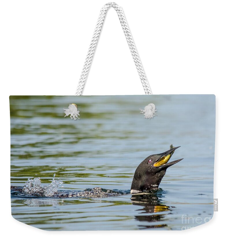 Cheryl Baxter Weekender Tote Bag featuring the photograph More than a Mouthful by Cheryl Baxter