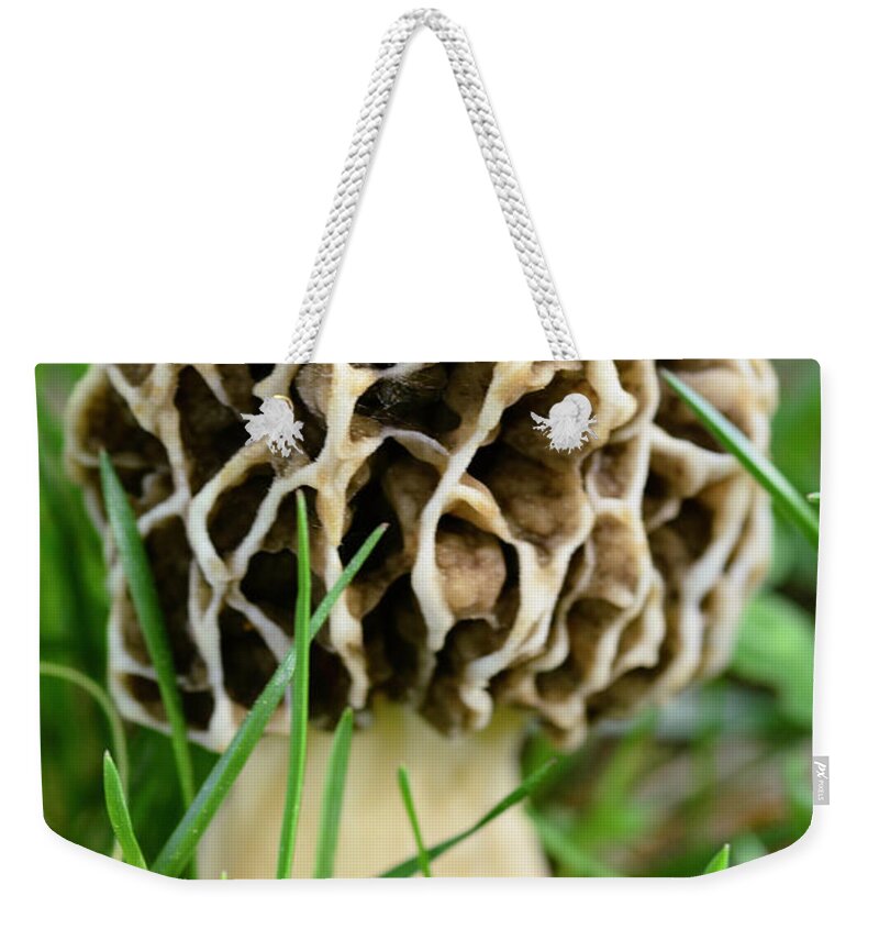 Mushroom Weekender Tote Bag featuring the photograph Morel by Crystal Wightman
