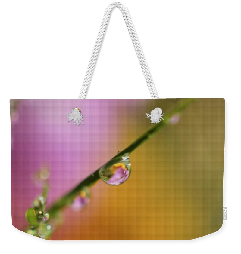 Close-up Weekender Tote Bag featuring the photograph Morning Dew by Arthur Fix
