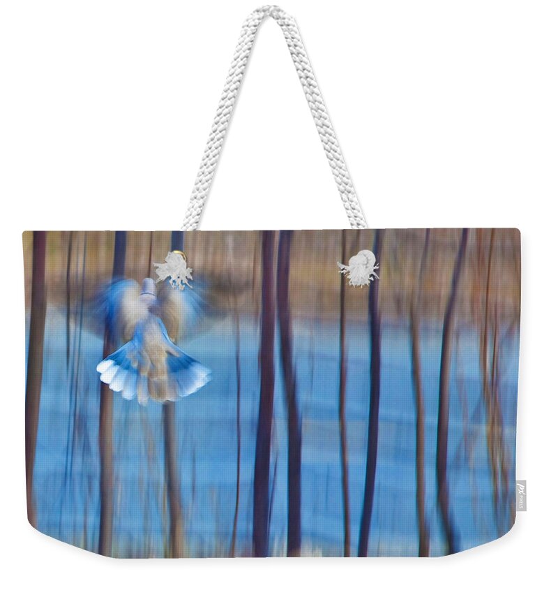 Poetry Weekender Tote Bag featuring the photograph Morning Dove by Theresa Tahara