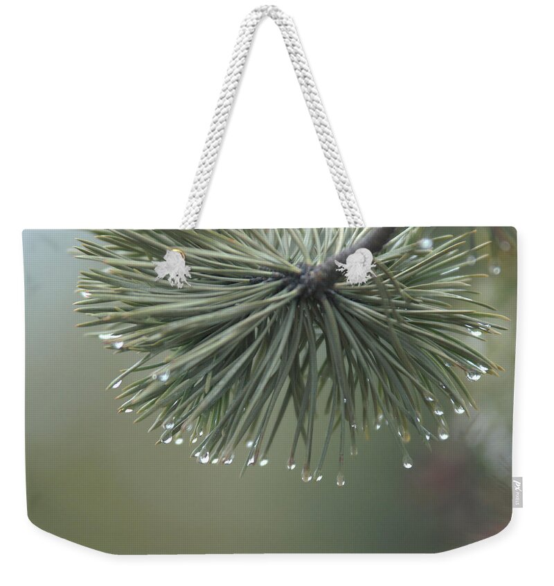 Fog Weekender Tote Bag featuring the photograph Morning Fog by Frank Madia