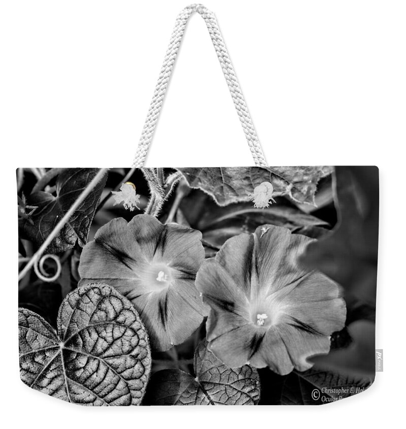 Flower Weekender Tote Bag featuring the photograph Morning Glory - BW by Christopher Holmes