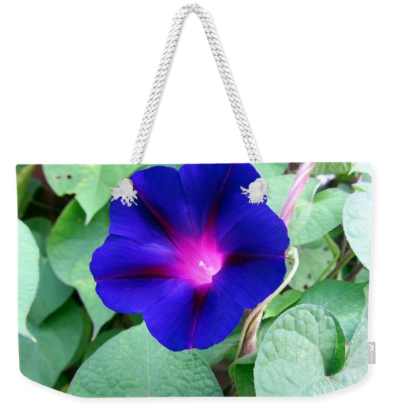 Flower Weekender Tote Bag featuring the photograph Morning Glory - Flower by Susan Carella