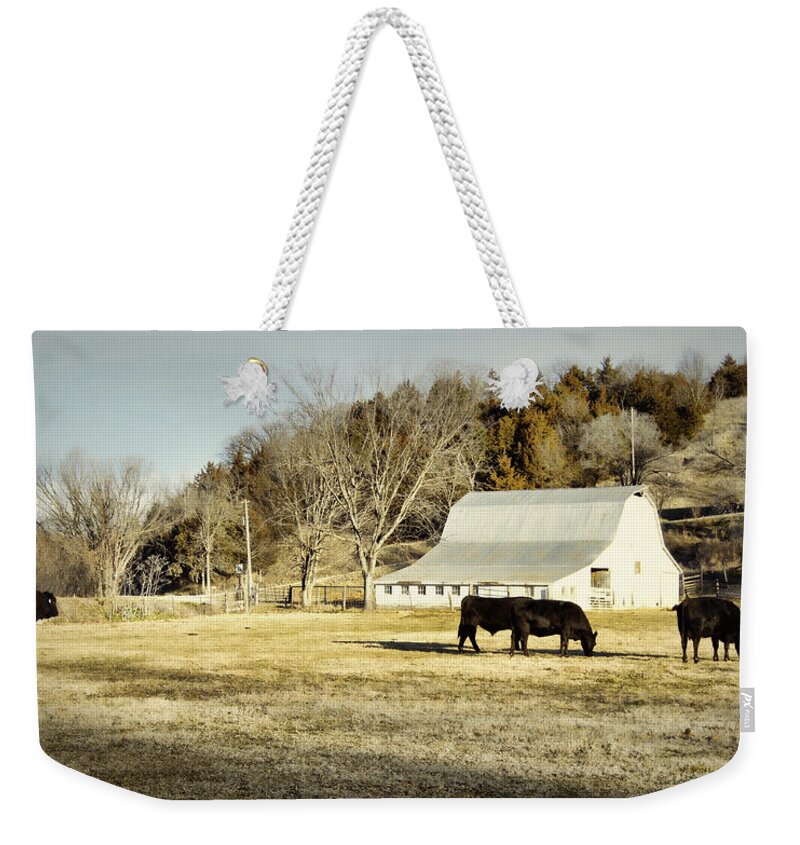 Barn Weekender Tote Bag featuring the photograph Morning Graze by Cricket Hackmann