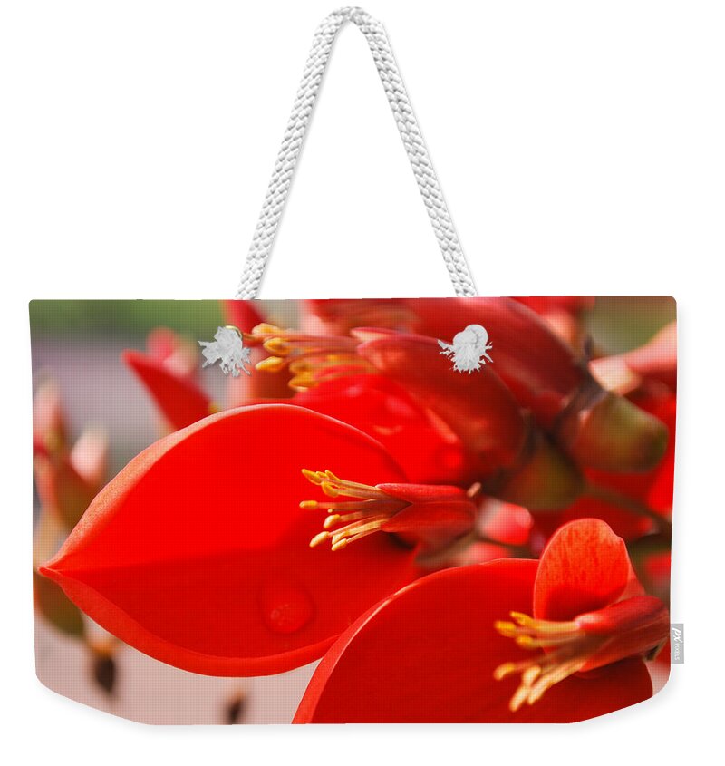 Indonesia Weekender Tote Bag featuring the photograph Morning Jog by Miguel Winterpacht