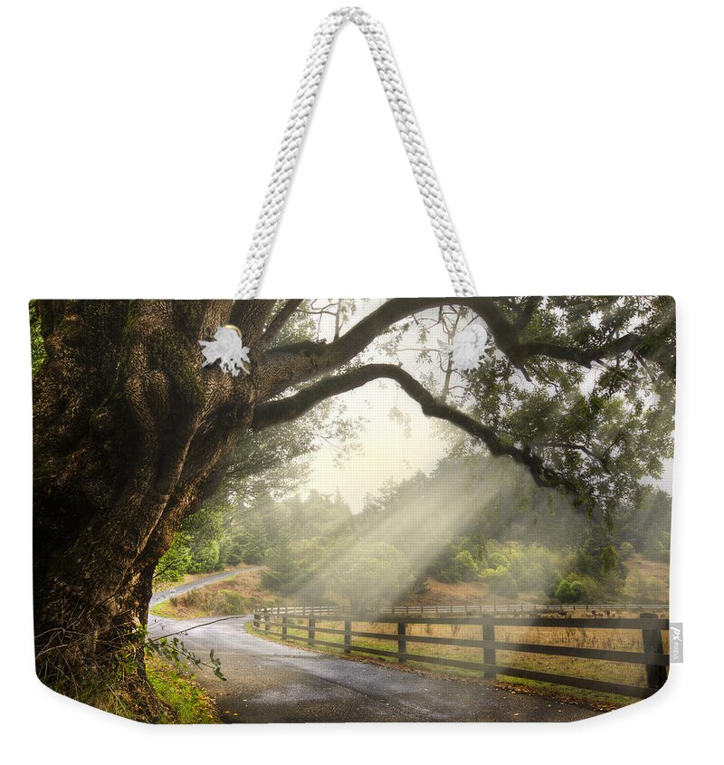 Clouds Weekender Tote Bag featuring the photograph Morning Light by Debra and Dave Vanderlaan