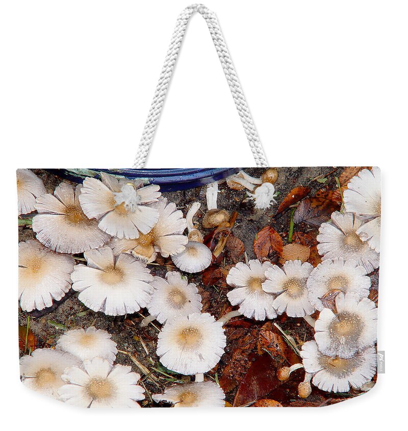 Texas Weekender Tote Bag featuring the photograph Morning Mushrooms by Erich Grant